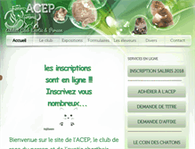 Tablet Screenshot of addictpersanexo.com